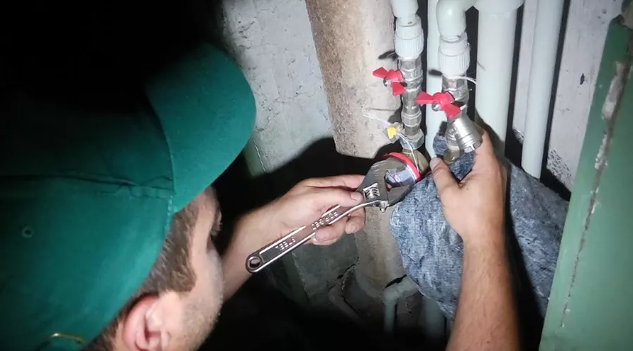  &copy;&nbsp;Фото ГУК &laquo;Краснодар&raquo;