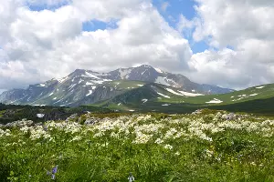  &copy;&nbsp;Фото с сайта westerncaucasus.ru