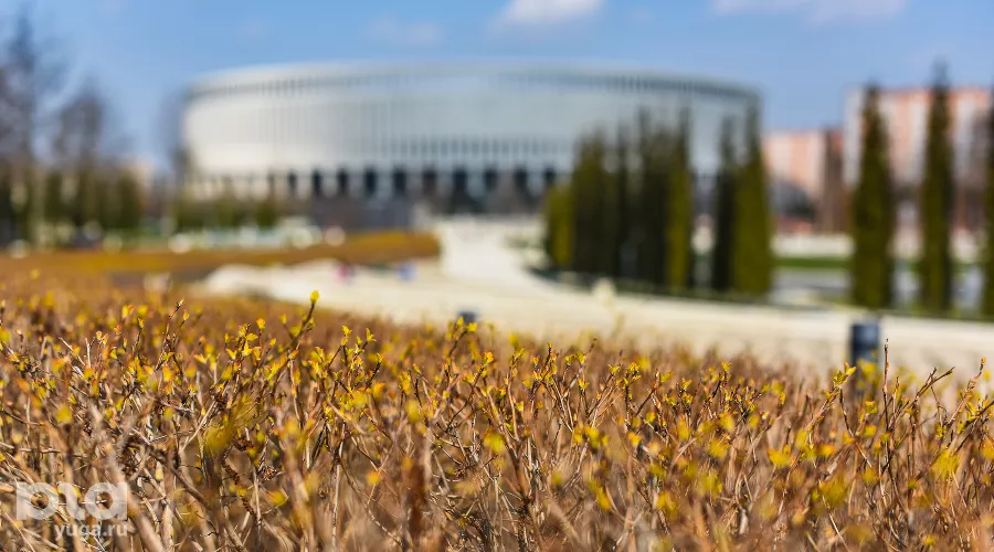  &copy;&nbsp;Фото Елены Синеок, Юга.ру