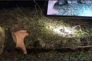  &copy;&nbsp;Скриншот с сайта Сочинского нацпарка https://npsochi.ru/news/pryamikom-v-seti-pravosudiya-gosinspektory-sochinskogo-natsionalnogo-parka-zaderzhali-narushiteley-s/