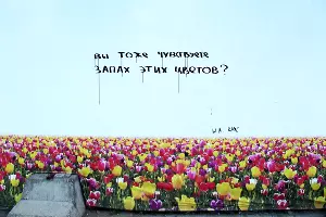 Серия работ «Симуляция благополучия» &copy;&nbsp;Фото из личного архива Максима Алехина