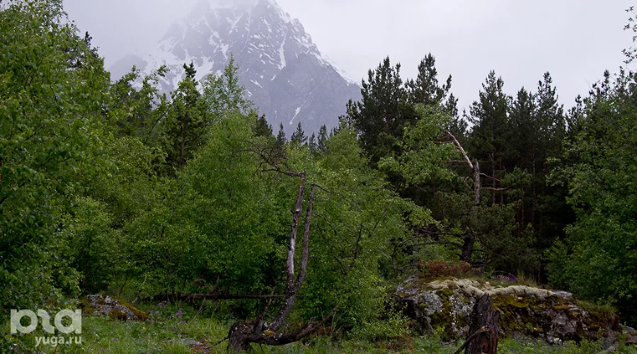  &copy;&nbsp;Фото Влада Александрова, Юга.ру