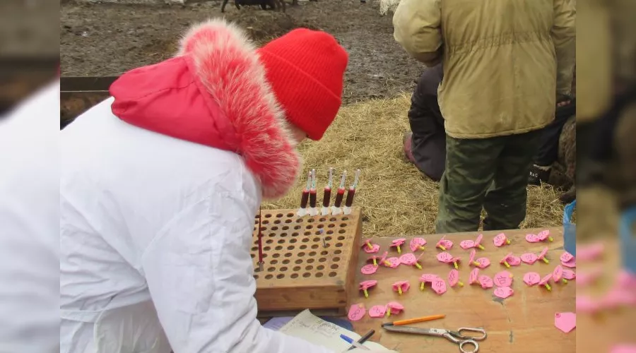  &copy;&nbsp;Фото пресс-службы ГБУ РО &laquo;Ростовская облСББЖ с ПО&raquo;