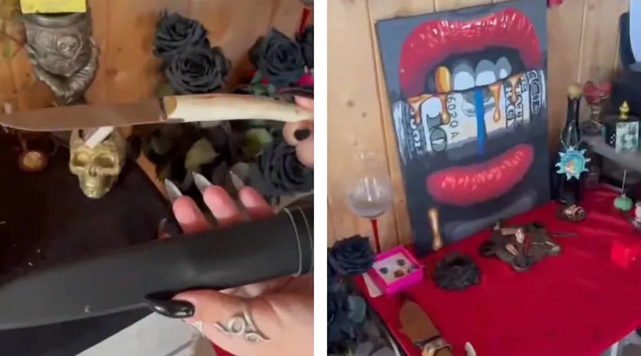  &copy;&nbsp;Коллаж из скриншотов видео из телеграм-канала ГУ МВД по Краснодарскому краю