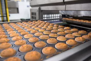 Открытие «Кубанского комбината хлебопродуктов» в Краснодаре &copy;&nbsp;Фото Елены Синеок, Юга.ру