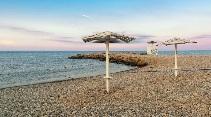  &copy;&nbsp;Фото startnatali2019, freepik.com