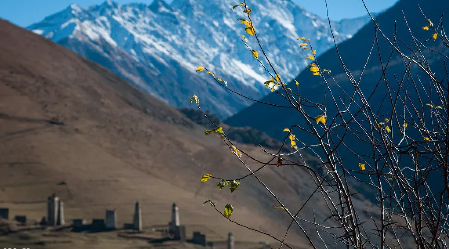  &copy;&nbsp;Елена Синеок, ЮГА.ру