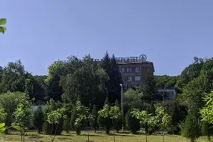  &copy;&nbsp;Фото Ботанического сада ЮФУ