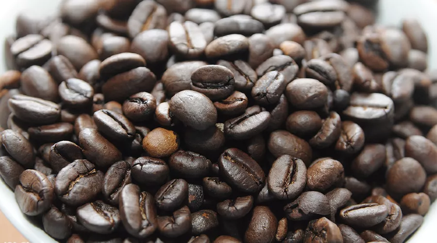 Открытие фабрики растворимого кофе Nescafe на Кубани &copy;&nbsp;Фото Елены Синеок, Юга.ру