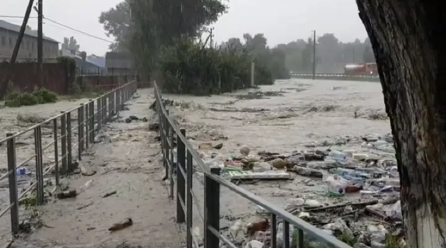  &copy;&nbsp;Фото Эмира Кубединова