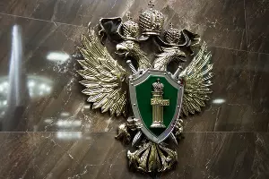  &copy;&nbsp;Фото Елены Синеок, Юга.ру