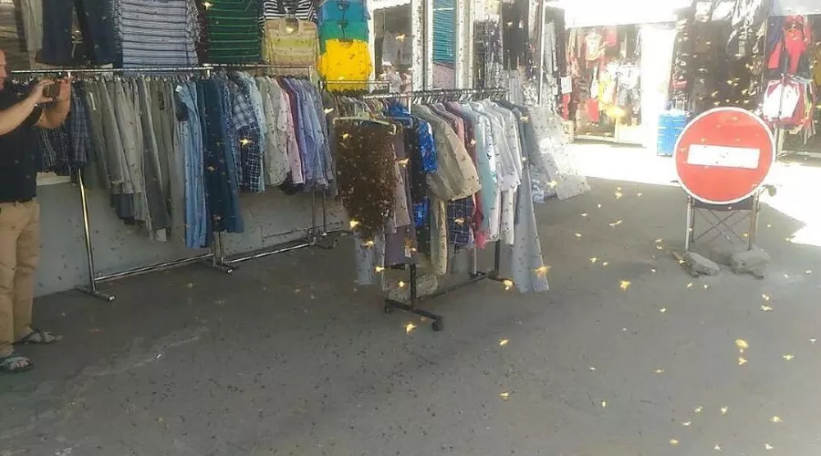  &copy;&nbsp;Фото t.me/typodar