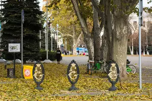  &copy;&nbsp;Фото Елены Синеок, Юга.ру