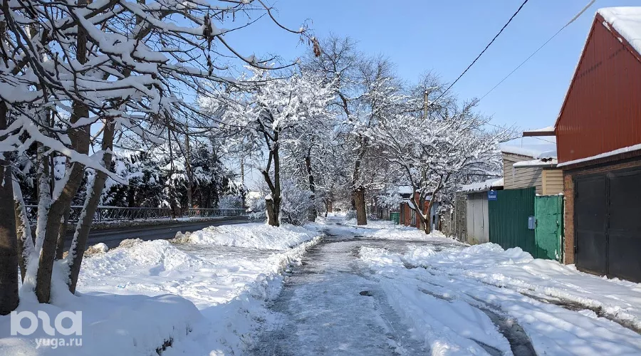  &copy;&nbsp;Фото Александры Прохоренковой-Аксеновой, Юга.ру