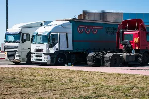  &copy;&nbsp;Фото Елены Синеок, Юга.ру