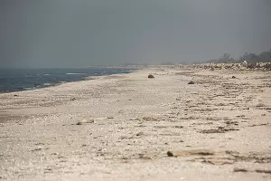  &copy;&nbsp;Фото Елены Синеок, Юга.ру