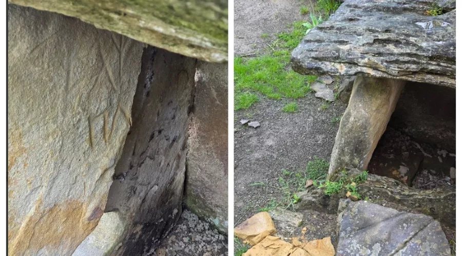  &copy;&nbsp;Скриншот из телеграм-канала эколога Евгения Витишко https://t.me/vitishko/18680