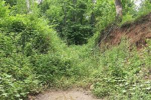  © Фото Рустема Ципинова