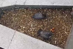  &copy;&nbsp;Фото Эльзы Габбасовой