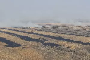 Северский район, 17 октября 2021 года &copy;&nbsp;Фото Дмитрия Шевченко