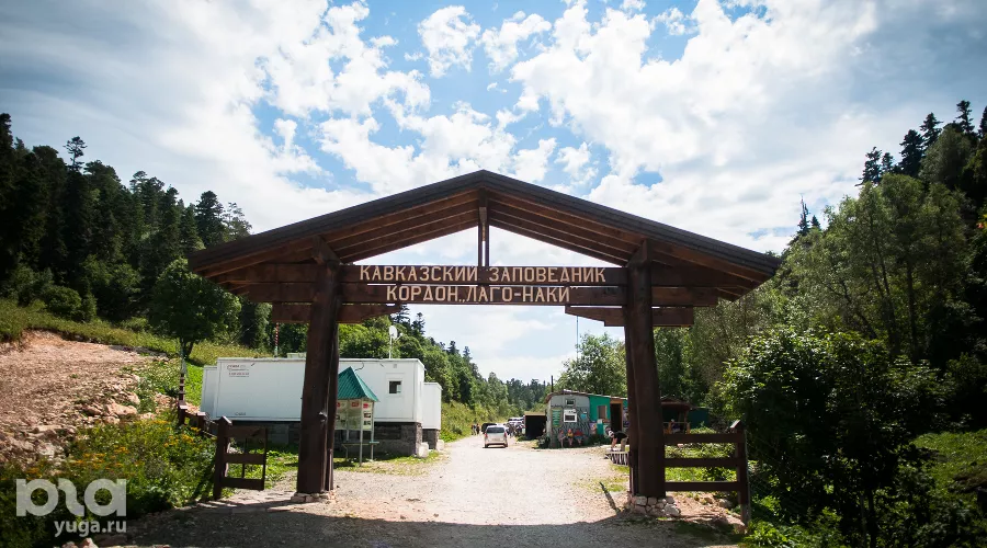 Кавказский заповедник &copy;&nbsp;Фото Елены Синеок, Юга.ру