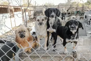  &copy;&nbsp;Фотография предоставлена Наталией Пяткиной