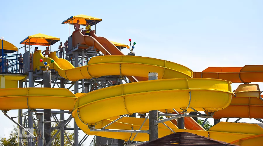  &copy;&nbsp;Фото Елены Синеок, Юга.ру