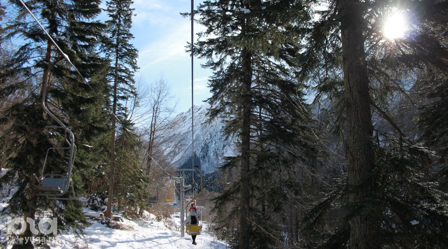  © Фото Марины Солошко, Юга.ру