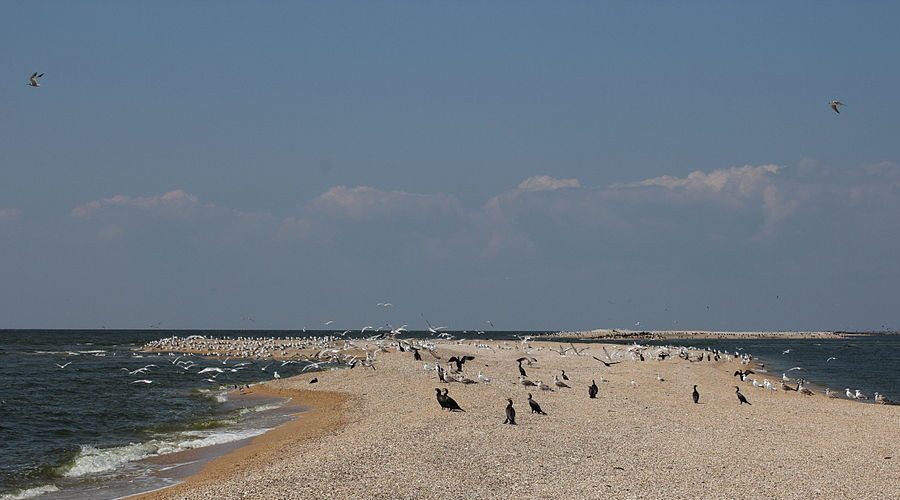 Таганрогский залив © Фото с сайта wikimedia.org