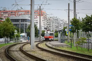  &copy;&nbsp;Фото Елены Синеок, Юга.ру