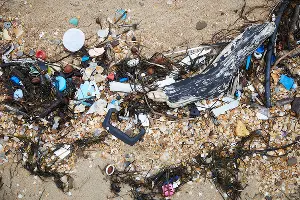  &copy;&nbsp;Фото Славы Замыслова, Гринпис