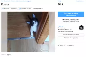  &copy;&nbsp;Скриншот с сайта Avito.ru