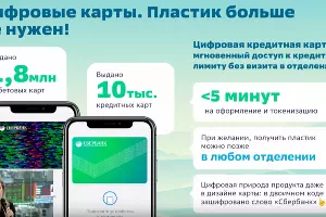  &copy;&nbsp;Скриншот онлайн пресс-конференции Светланы Кирсановой