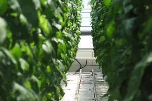  &copy;&nbsp;Фото с сайта pixabay.com