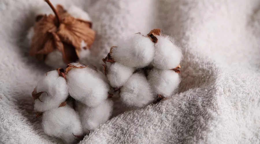  &copy;&nbsp;Фото пользователя Racool_studio с сайта freepik.com