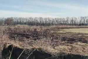  &copy;&nbsp;Фото Юга.ру