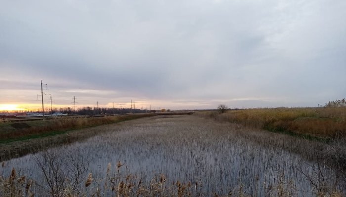 В пригороде Краснодара в полях появилось канализационное озеро