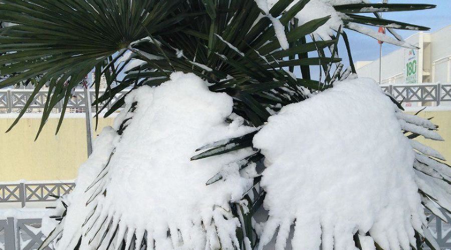  &copy;&nbsp;Фото Юга.ру