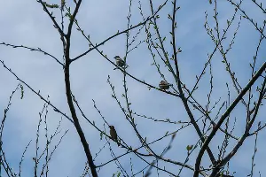  &copy;&nbsp;Фото Евгения Мельченко, Юга.ру