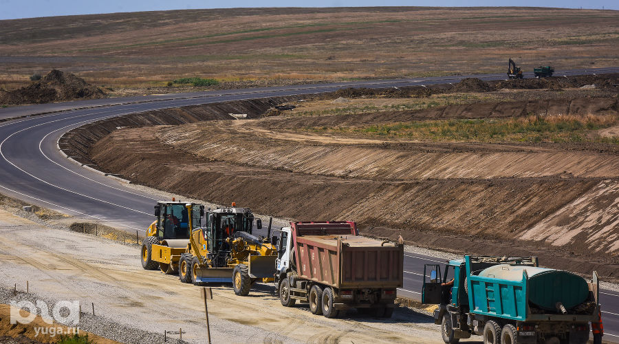  © Фото Елены Синеок, Юга.ру