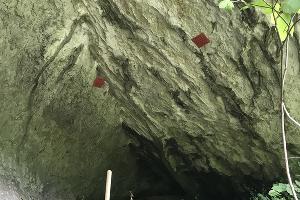 Грот Ацху © Фото пресс-службы субтропического научного центра Российской академии наук