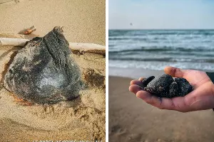  &copy;&nbsp;Скриншоты фото из телеграм-канала &laquo;Сети, сито, лопата&raquo;