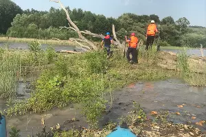  &copy;&nbsp;Фото пресс-службы ГУ МЧС РФ по Краснодарскому краю