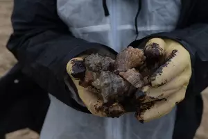  &copy;&nbsp;Фото Полины Безверхой