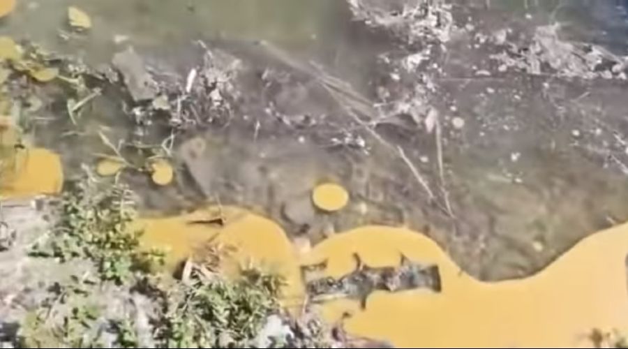  © Скриншот видео