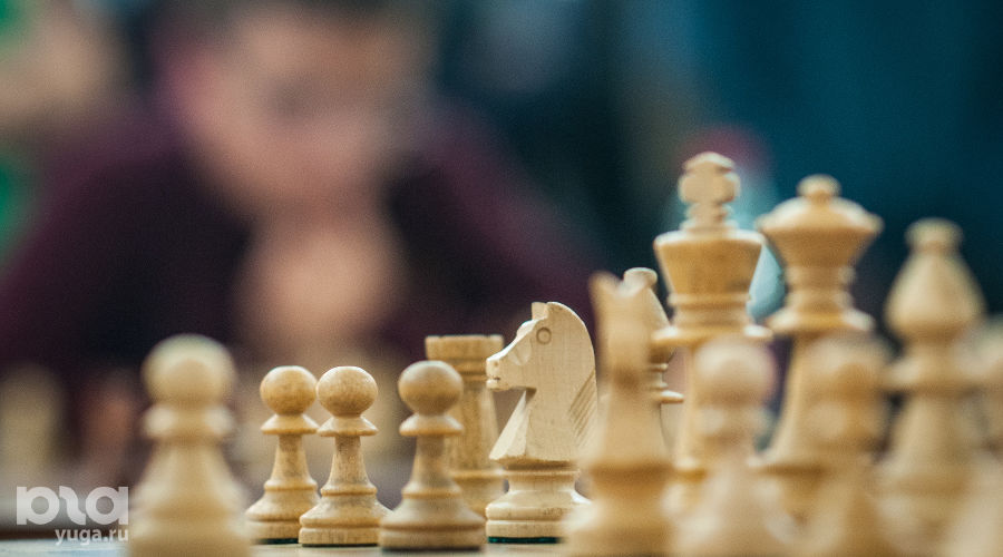 Крамник и Трегубов провели сеанс одновременной игры в шахматы в Краснодаре  © Елена Синеок, ЮГА.ру