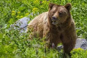  &copy;&nbsp;Фото из группы vk.com/kavzapoved