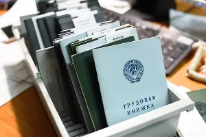 Трудовая книжка &copy;&nbsp;Фото Елены Синеок, Юга.ру