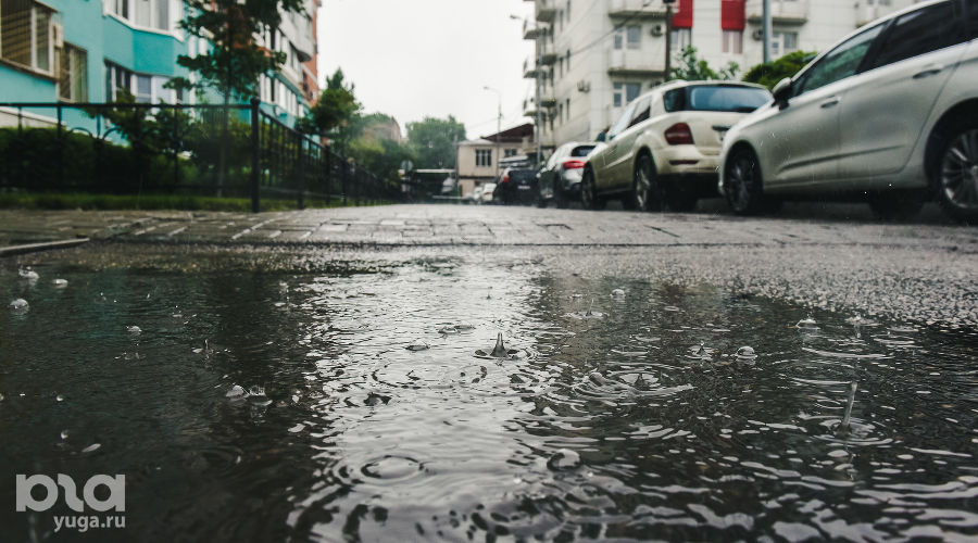  © Фото Елены Синеок, Юга.ру