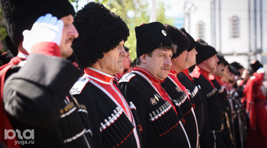  © Фото Елены Синеок, Юга.ру